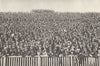 LONDON. Football crowd. Voice which roars behind touch-line every Saturday 1926