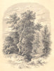 EUROPE. Forêt D'europe 1852 old antique vintage print picture