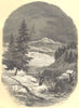 NORWAY. Sapins de Norvege. Abies excelsa.  (Abiétinées)  1852 old print