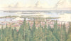 FINLAND. Kuopio, view from the Puijo Hill 1908 old antique print picture
