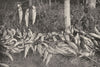 FINLAND. An afternoon's Sport at Kajaani 1908 old antique print picture