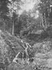 VOSGES. Val d'Ajol- Cascade de Faymont 1906 old antique vintage print picture