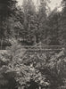 VOSGES. La Vologne au Saut des Cuves 1906 old antique vintage print picture