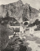 ALPES-MARITIMES. Le pont Saint-Louis, à Menton 1903 old antique print picture