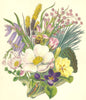 WILD FLOWERS. British Wild Flowers. SOWERBY 1890 old antique print picture