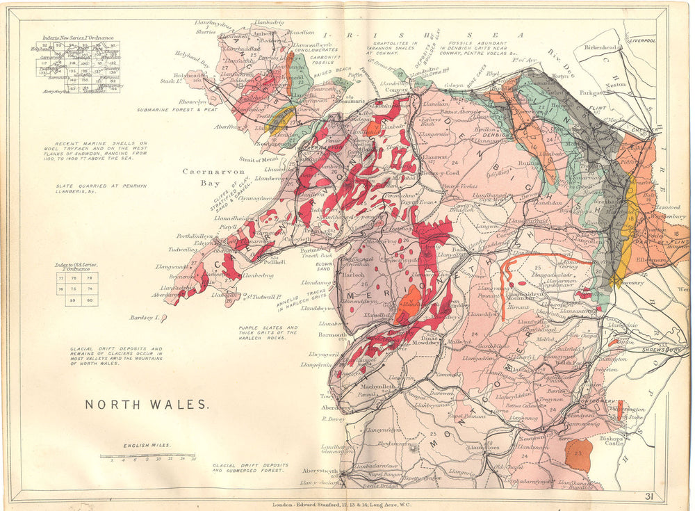 NORTH WALES. Geological map. STANFORD 1880 old antique vintage plan chart
