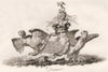 DORMER. Coat of Arms. Heraldry 1790 old antique vintage print picture