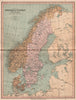 SCANDINAVIA.Denmark shown without North Schleswig.Norway Sweden.COLLINS 1880 map
