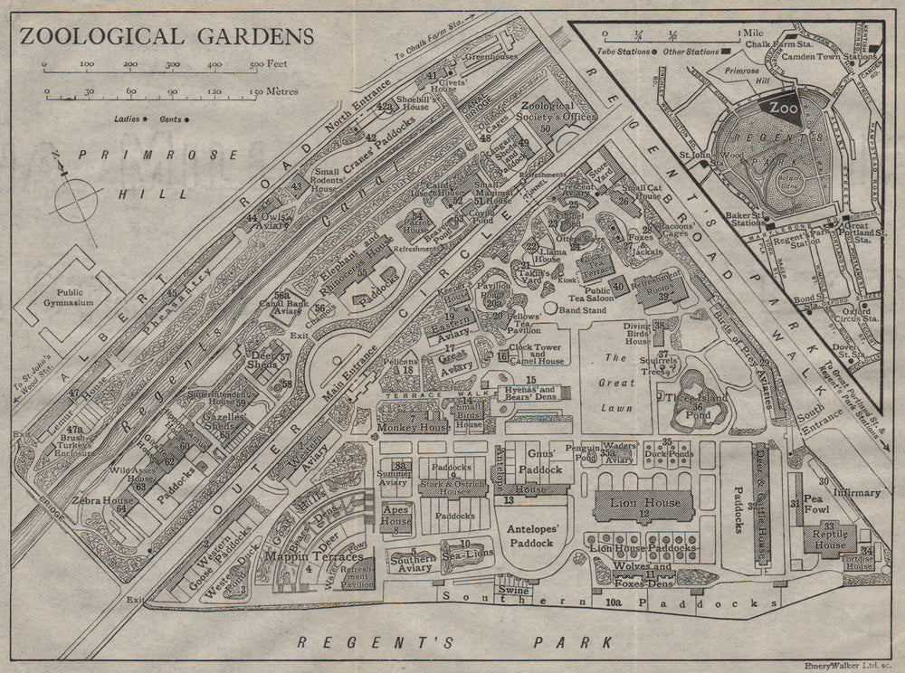 LONDON ZOOLOGICAL GARDENS. Vintage map plan. Regent's Park 1919 old