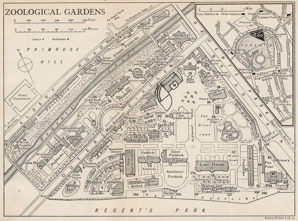 LONDON ZOOLOGICAL GARDENS. Vintage map plan. Regent's Park 1935 old
