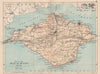 ISLE OF WIGHT. Antique map. Railways roads. Constituencies. PHILIP 1882