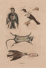 TAXIDERMY. Taxidermie (Taxidermy). Animals. Bird. Mouse. 1833 old print