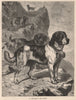 DOGS. St. Bernard's of the Hospice 1881 old antique vintage print picture