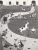 HEATH ROBINSON. Cultivating Toughness in Footballs. Soccer 1973 old print