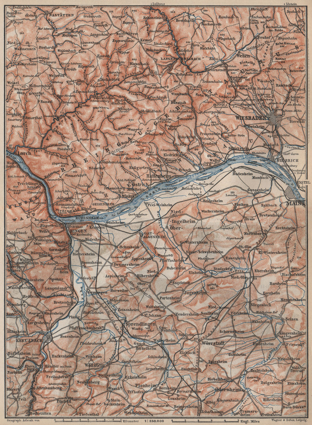 THE RHEINGAU topo-map. Wiesbaden Lorch Rüdesheim Mainz. Germany karte 1889