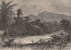 View taken at the foot of the Cameroon Mountains 1885 old antique print