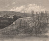 Dead Trunks of Palms near M'suala, on the Congo. Congo Basin 1885 old print