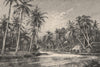 View on the river Amandit, Dutch Burneo. Kalimantan, Indonesia 1885 old print