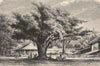 Palace of the Sultan of Buleleng, Bali. Indonesia. East Indies 1885 old print