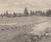 Gettysburg Cemetery; grave of nameless Soldiers. Pennsylvania 1885 print