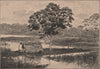 Flooded banks of the Amazon. Brazil. Amazonia 1885 old antique print picture