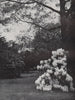 Kew Gardens. E.O. HOPPÉ. London 1930 old vintage print picture