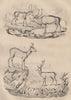 Cerfs (Deer). Renne (Reindeer). Elan (Moose). Chevreuil (Roe deer) 1834 print