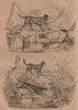Sheep dog. St Bernard. Ffoxhound/hunting/game dog. White Newfoundland dog 1834