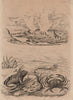 Crabe (Crab). Crangon (caridean shrimp). Crapaud (Toad). Geysers 1834 print