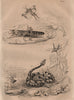 ANIMALS. Crevette (Shrimp). Criquet (Locust). Crotale (Rattlesnake) 1834 print