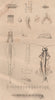 MYRIAPODS ANATOMY. Myriapoda. Arthropods 1834 old antique print picture