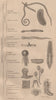 ZOOPHYTES. Classification. Orders. Animals 1834 old antique print picture