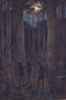 ''The Australian forest at night