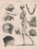 Anatomy. Human skeleton side. Jaw teeth skull. BRITANNICA 1860 old print