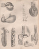 Anatomy; Comparative 2. BRITANNICA 1860 old antique vintage print picture