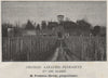 VINS BLANCS BOMMES BARSAC Chateau Lafaurie-Peyraguey 1er Cru Classé SMALL 1908