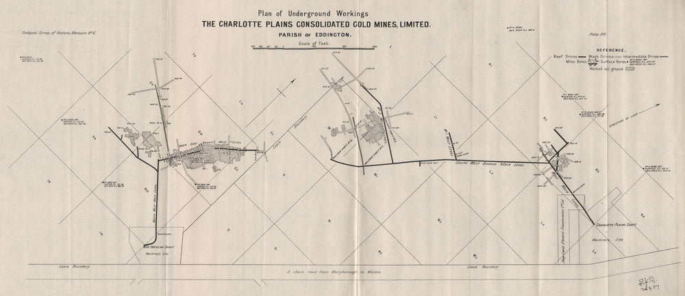 Charlotte Plains Consolidated Gold Mines, Eddington. Victoria Australia 1909 map