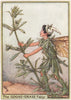 Goose-Grass Fairy by Cicely Mary Barker. Wayside Flower Fairies c1948 print