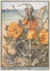 Horned Poppy Fairy by Cicely Mary Barker. Wayside Flower Fairies c1948 print
