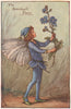 Speedwell Fairy by Cicely Mary Barker. Spring Flower Fairies c1935 old print