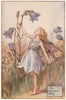 Harebell Fairy by Cicely Mary Barker. Summer Flower Fairies c1935 old print