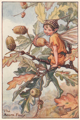 Acorn Fairy by Cicely Mary Barker. Autumn Flower Fairies c1935 old print