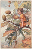 Acorn Fairy by Cicely Mary Barker. Autumn Flower Fairies c1935 old print