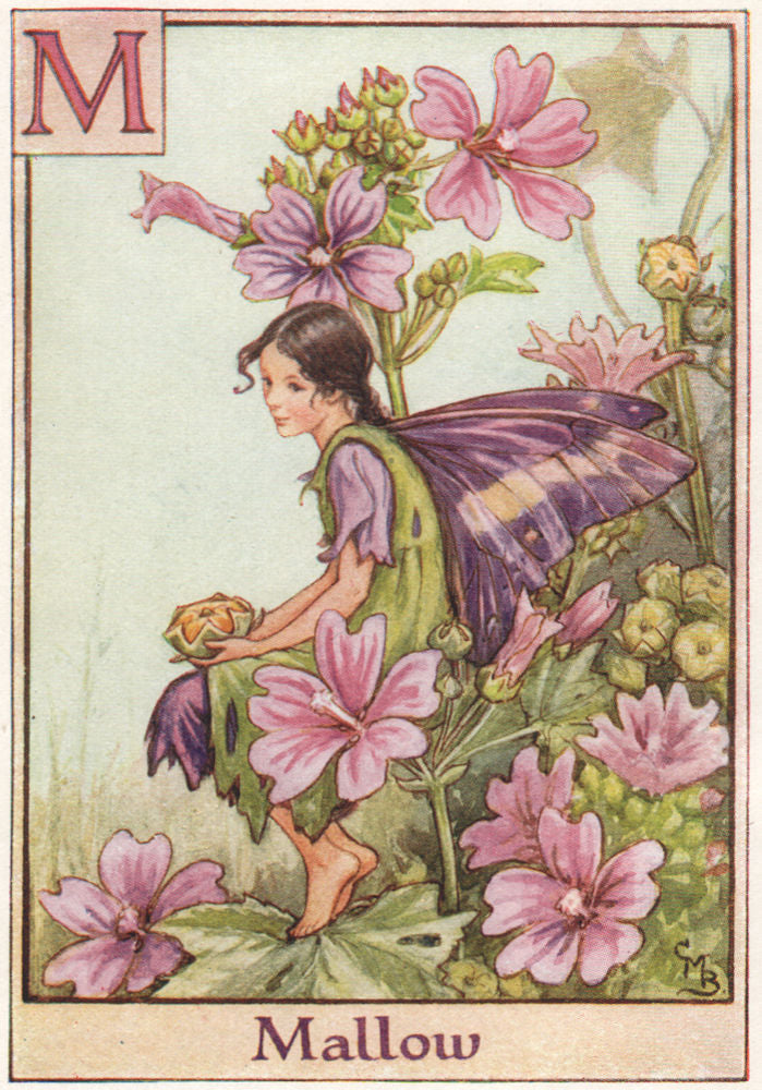 Flower fairies Alphabetの妖精 Flower Fairy Alphabet: Cicely Mary Barker: 9780723237594