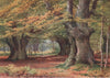 Burnham Beeches, Buckinghamshire, by Harold Sutton Palmer 1929 print