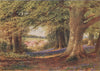 Beeches and Bluebells, Buckinghamshire, by Harold Sutton Palmer 1929 print