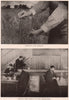Breeding New Wheats: Testing New Wheats in the Laboratory. Farming 1903 print