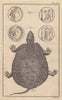 Greek coin.  Golden studded Tortoise of Pennsylvania. GENTS MAG 1758 print