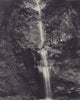 Emu Vale waterfall, Queensland (or French Guyana). STODDARD 1895 old print