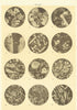 Rocks. Geology 1907 old antique vintage print picture